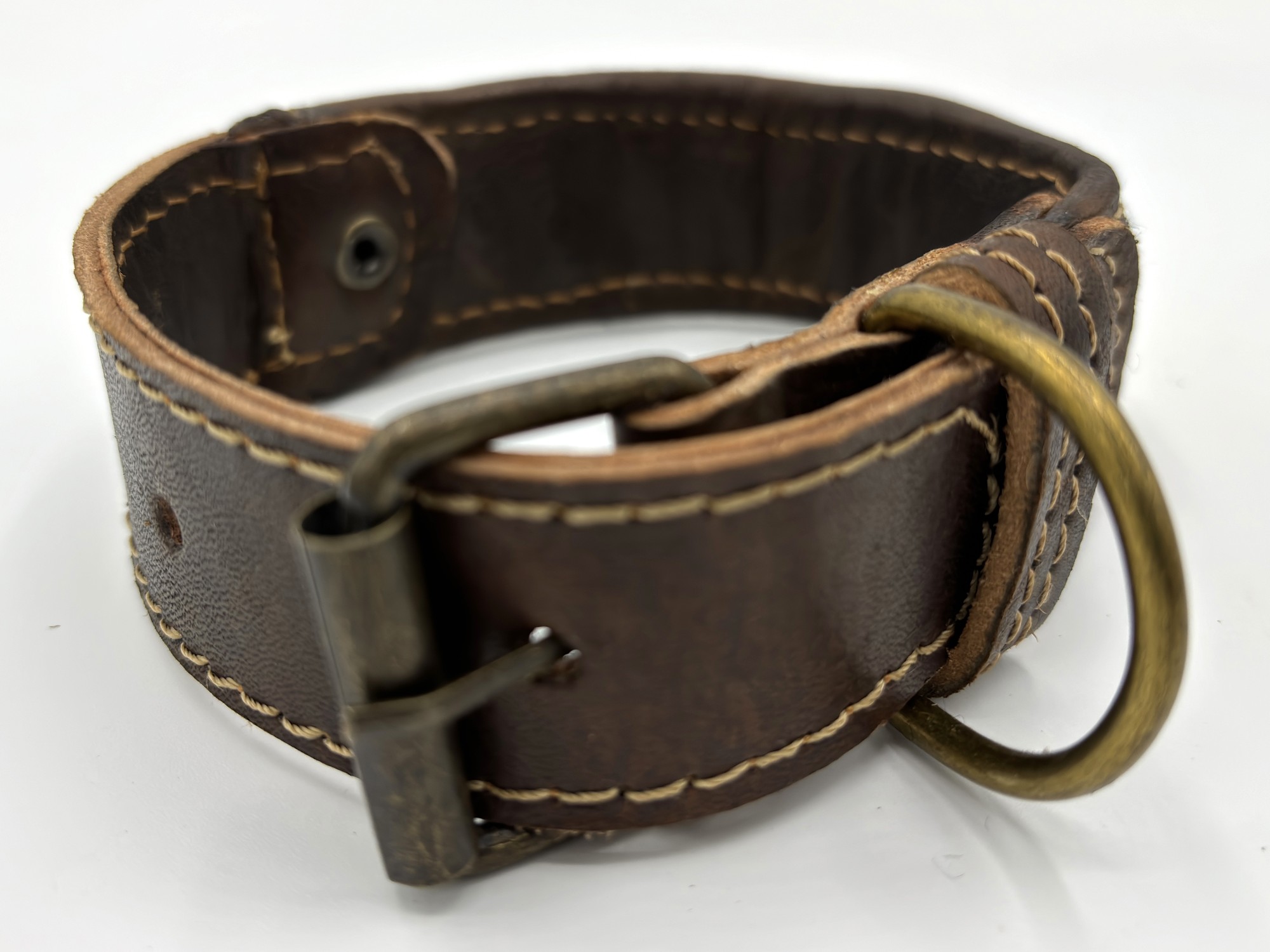 An Arabian Nights collar from the back showing the brass-tone roller buckle and D-ring
