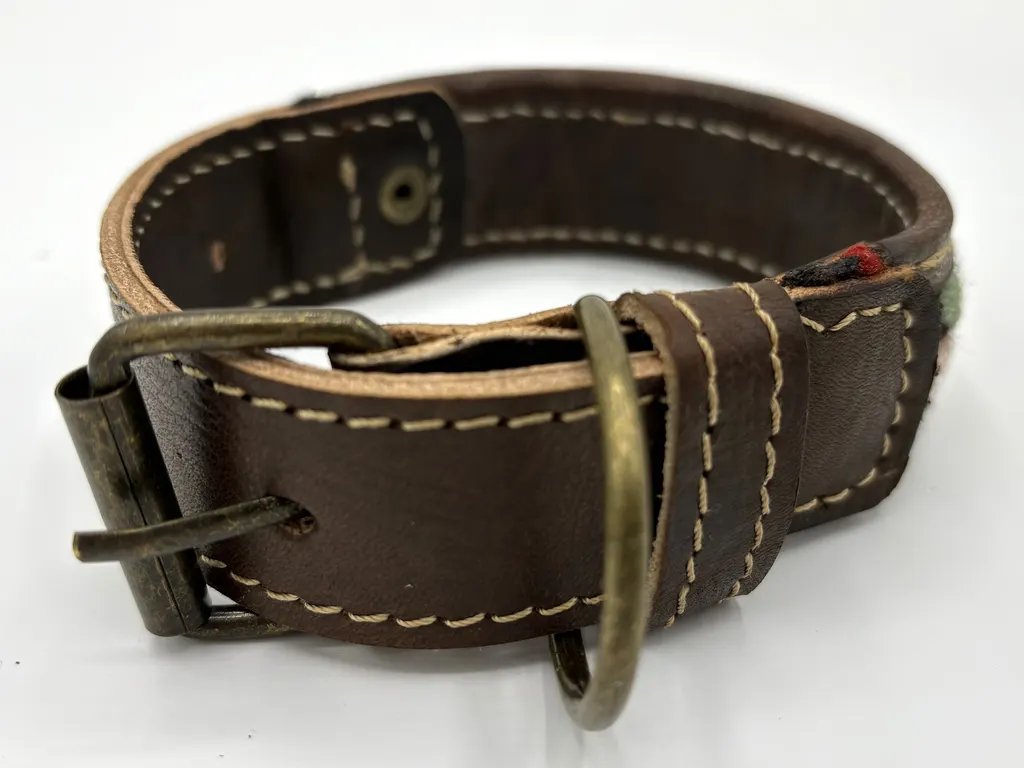 Berber Sands collar from the back — brass-tone buckle and D-ring on full-grain leather