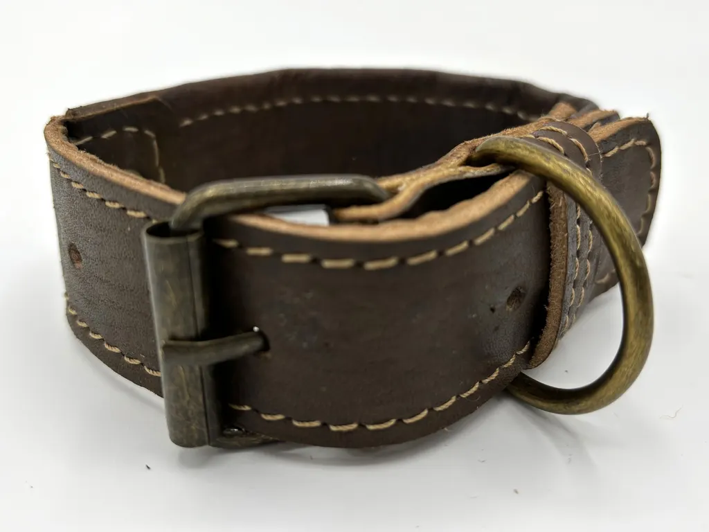 Desert Dunes collar from the back — brass-tone buckle, D-ring and punched leather strap