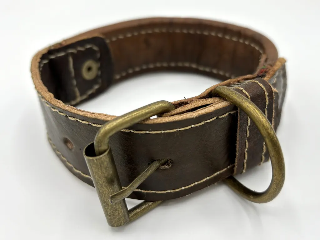 Marrakesh Express collar from the back — brass-tone buckle, D-ring and stitched leather